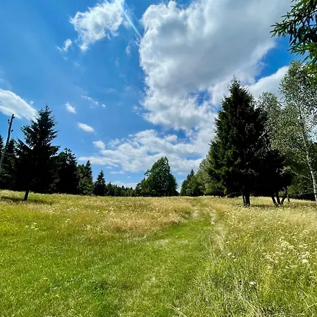 Quiet Forest Retreat With Pool Borovnica