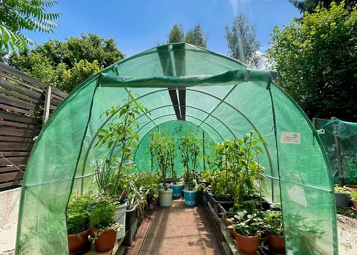 Quiet Forest Retreat With Pool Appartamento *