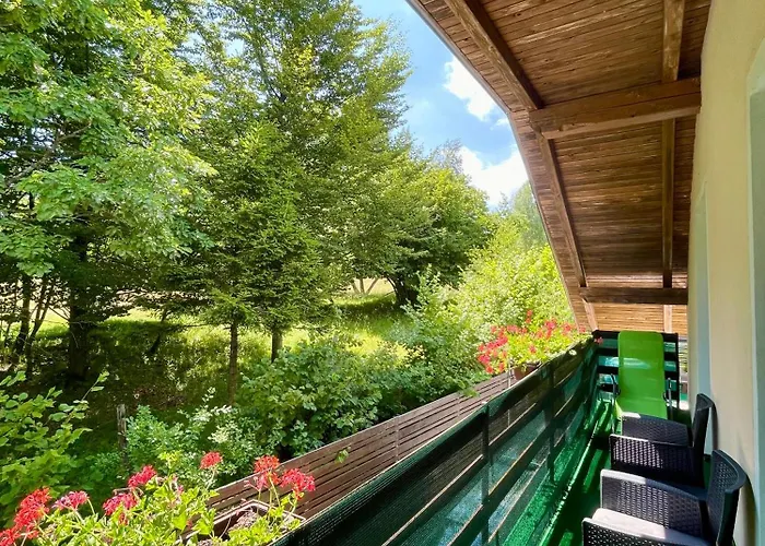 Quiet Forest Retreat With Pool