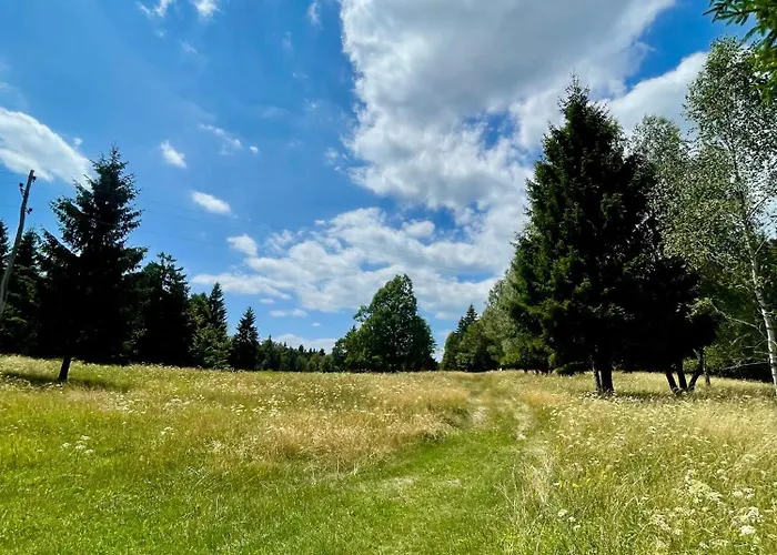 Quiet Forest Retreat With Pool Borovnica